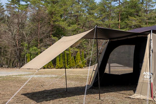 絶対にやってはいけないことは？ペットが快適に過ごすためのテクニック集