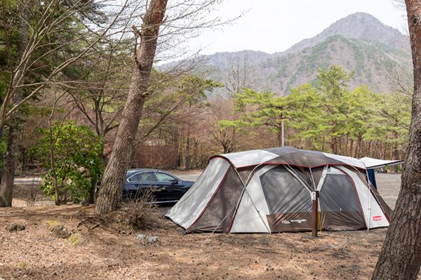 絶対にやってはいけないことは？ペットが快適に過ごすためのテクニック集