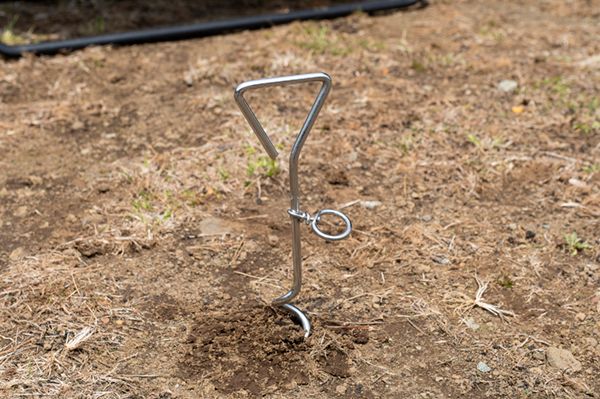 絶対にやってはいけないことは？ペットが快適に過ごすためのテクニック集