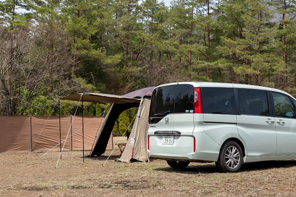 絶対にやってはいけないことは？ペットが快適に過ごすためのテクニック集