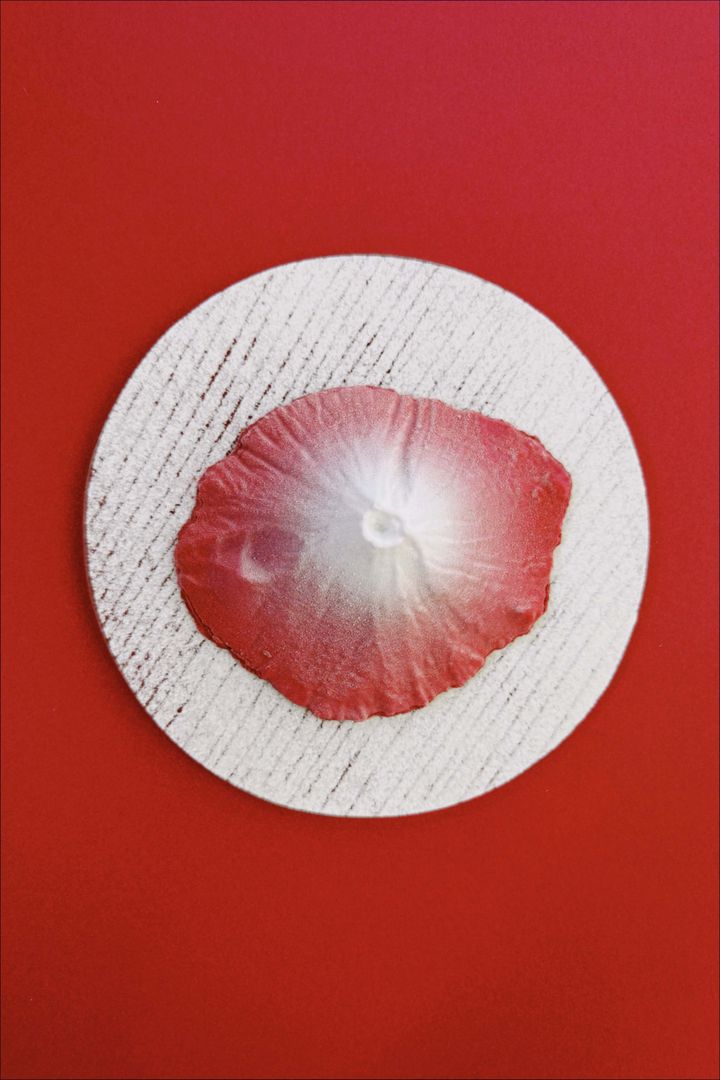 お土産はこれで決まり！おしゃれでかわいいインパクト大、富士山をかたどった山菓子【ささやかですてきなもの 大谷有紀 vol.204】