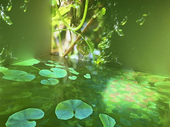 清流長良川あゆパーク