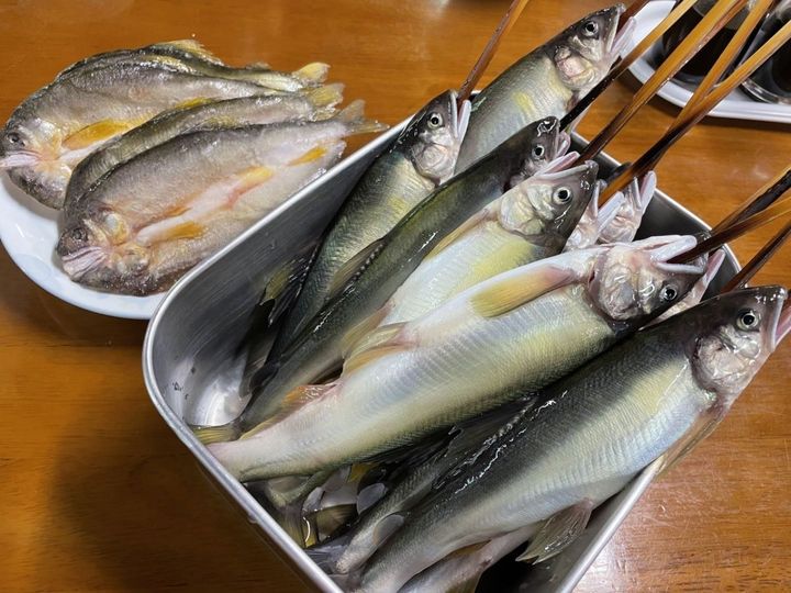 板取川 洞戸観光ヤナ