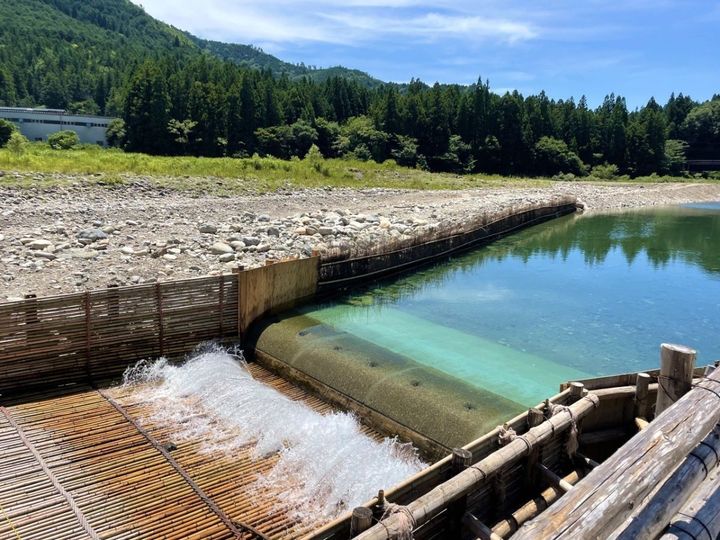 板取川 洞戸観光ヤナ