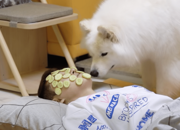 ペットたちの前でキュウリパックをしてみたら、モグモグされちゃった 笑