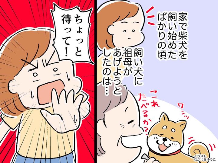 画像: ＜祖母よ、待って！＞飼い犬への思いやりが「えっ！？」大惨事寸前の事態に、ヒヤリ！