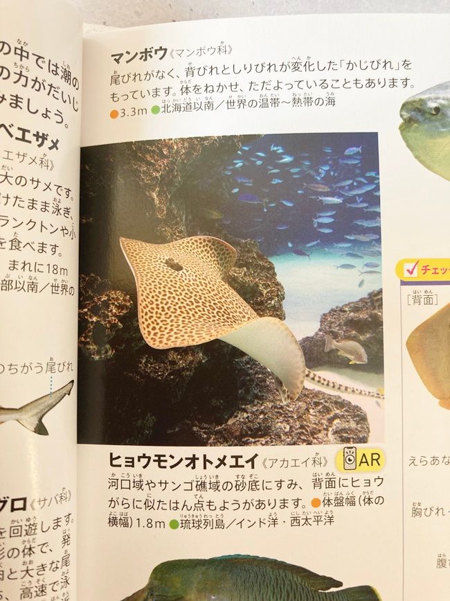 ミニ図鑑「水族館にいこう 海の生物クイズつき」