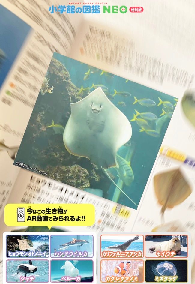 ミニ図鑑「水族館にいこう 海の生物クイズつき」