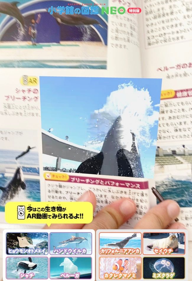 ミニ図鑑「水族館にいこう 海の生物クイズつき」