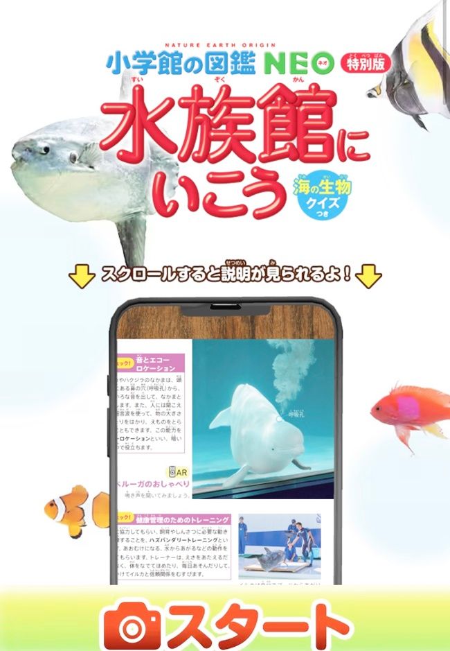 ミニ図鑑「水族館にいこう 海の生物クイズつき」
