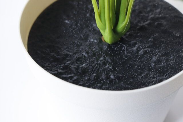 スリーコインズ フェイクグリーン デザイン