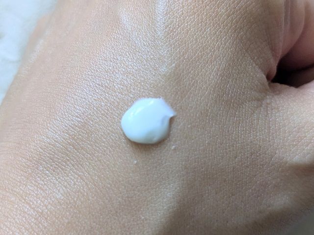 アベンヌの写真