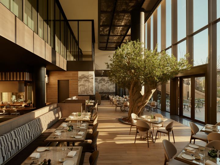 ジャヌ東京「ジャヌ メルカート」