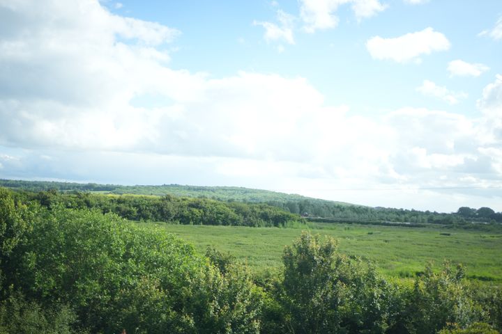 キンガム駅に向かう途中の車窓から。なだらかな丘陵が続く。
