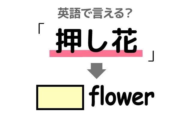 英語で【押し花】は何て言う？「分厚い本」などの英語もご紹介