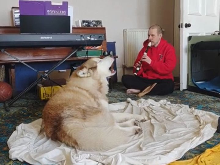 笛の音に合わせて歌ってる！