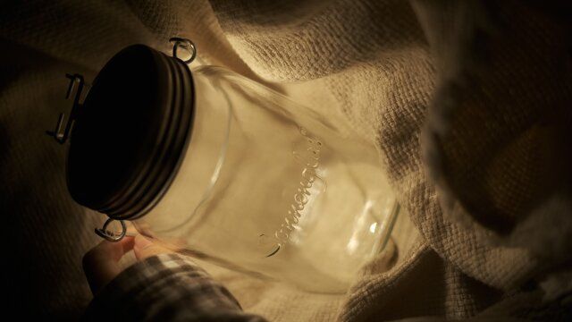 間接照明 ビンに当てる