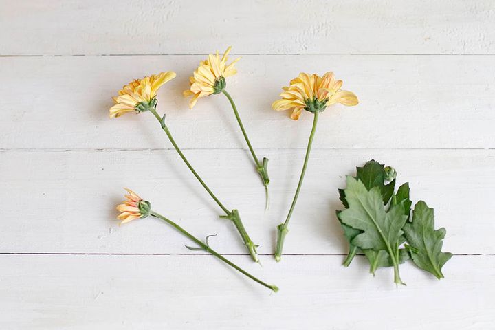 重陽の節句のアレンジ