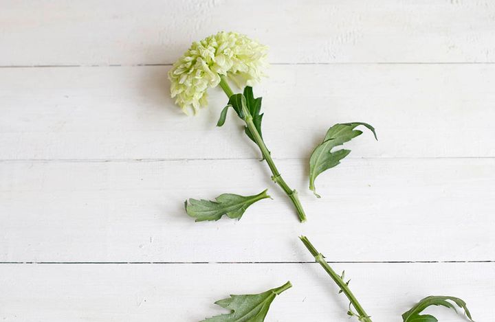 重陽の節句のアレンジ