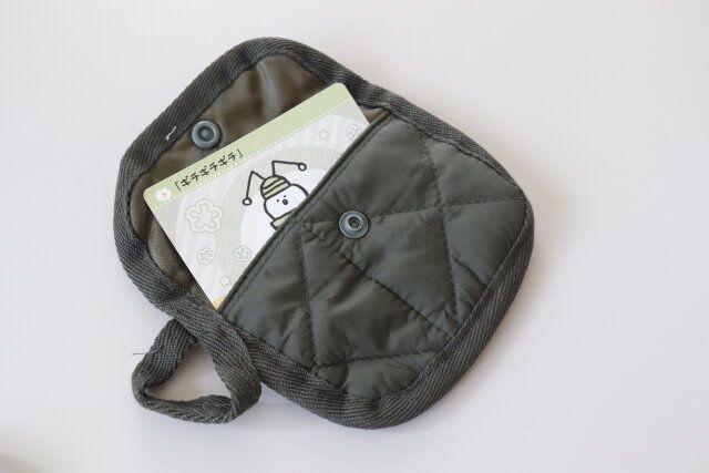 ダイソー キルトコンパクトマルチポーチ 使用例 ショップカード 診察券