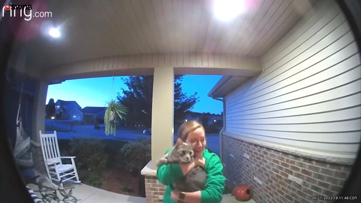 失踪の飼い猫が無事に飼い主と再会、感動の瞬間をカメラが捉える