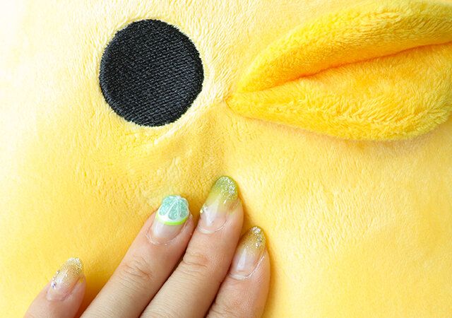 ぴよりんぬいぐるみ付録レビュー圧縮梱包戻し方