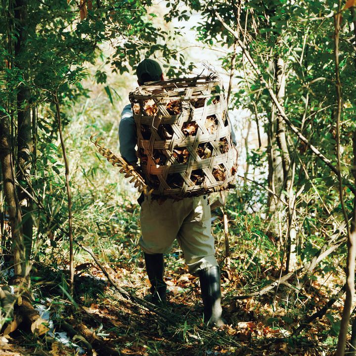 農家・柳田大地