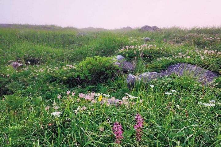 月山 ［山形県］