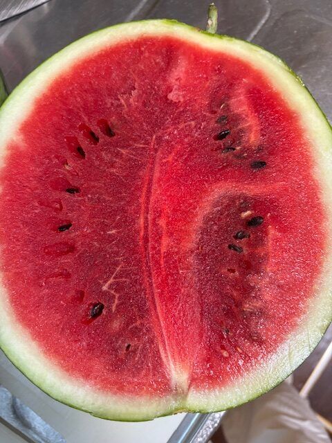 スイカ