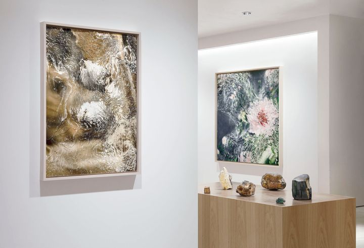 『Naturalized Species』