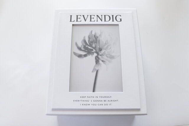 ダイソー 紙BOX（フォトフレーム付、白）