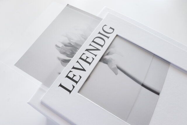 ダイソー 紙BOX（フォトフレーム付、白） 写真 入れ替え