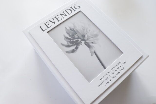 ダイソー 紙BOX（フォトフレーム付、白） デザイン 目隠し