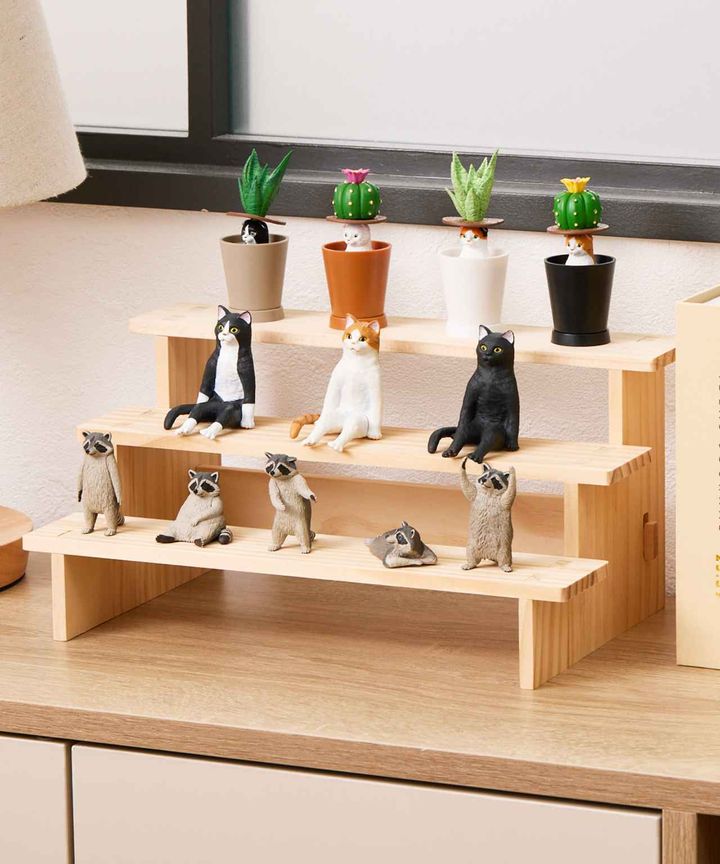 画像4: 出典：3COINS