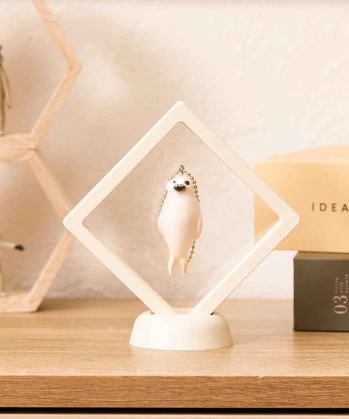 画像3: 出典：3COINS