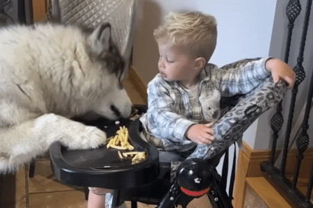 犬「食べきれない？ 残す？」 期待のまなざしで待機！