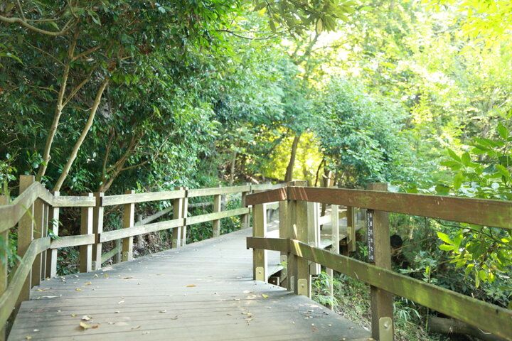 富士山の雪解け水が湧き出る公園でのんびり♪ 緑と清流に囲まれる柿田川公園