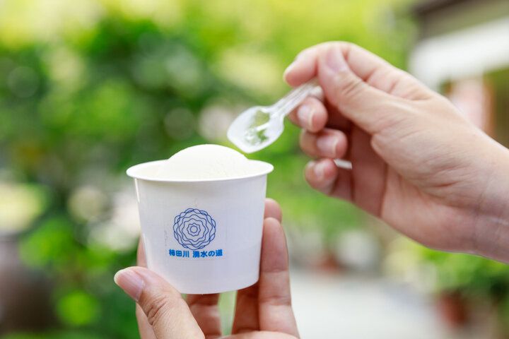 富士山の雪解け水が湧き出る公園でのんびり♪ 緑と清流に囲まれる柿田川公園