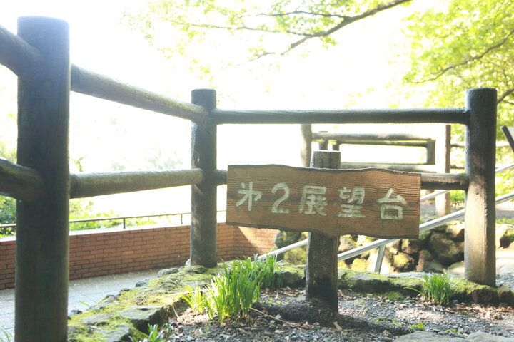 富士山の雪解け水が湧き出る公園でのんびり♪ 緑と清流に囲まれる柿田川公園
