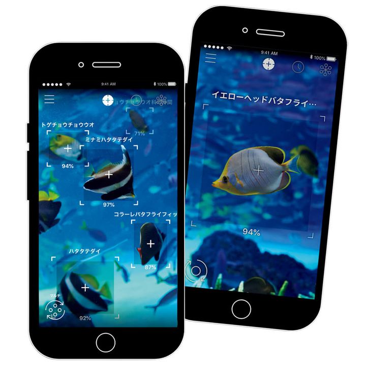 スマホアプリ「LINNÉ LENS」画面