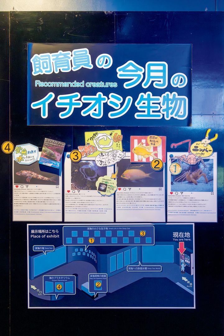 沖縄〈沖縄美ら海水族館〉館内のパネル