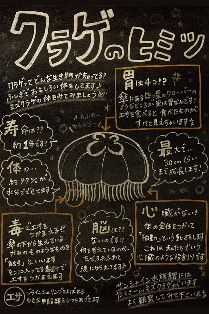 〈サンシャイン水族館〉館内のボード