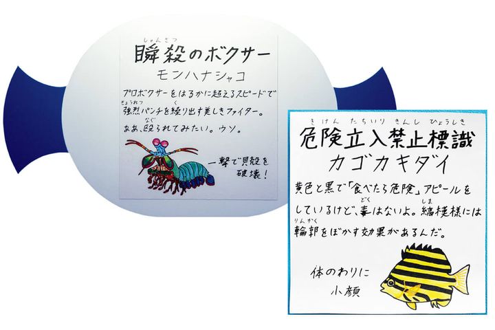 〈幼魚水族館〉館内のPOP