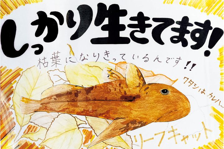 〈カワスイ 川崎水族館〉リーフキャットのPOP