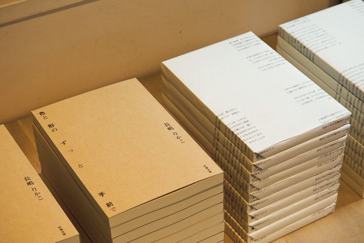 長嶋りかこ『色と形のずっと手前で』