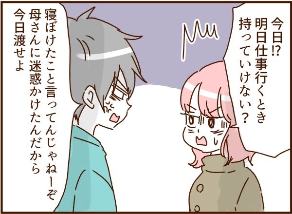 妻の旅行を許さないモラ夫 13