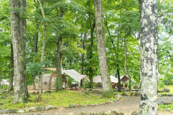 ちょっと贅沢なアウトドア体験「白馬エリア」