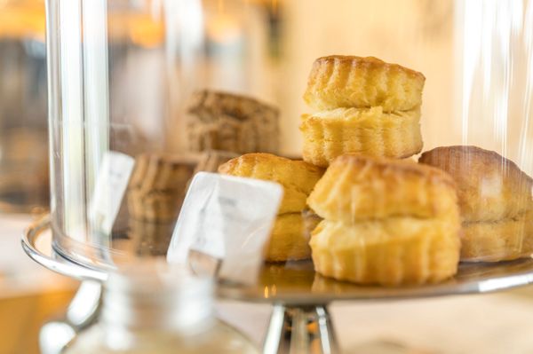 ちょっと贅沢なアウトドア体験「白馬エリア」