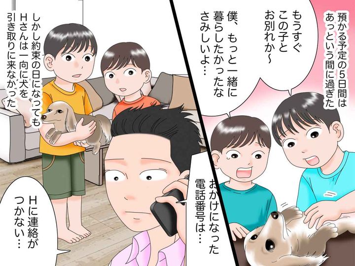 画像3: 帰省中の同僚の愛犬を預かる