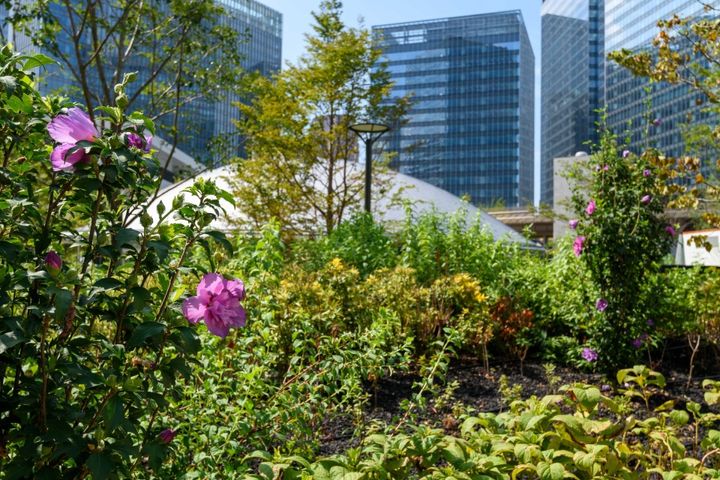 グラングリーン大阪